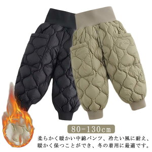 WK[pc ȃpc _E h N j̎q ̎q J[Spc H~ Y{  Chpc pc LbY