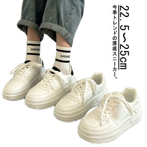 [ JWA Vv d ʋ ʊw 킢  [Jbg V[Y C    ubN zCg fB[X