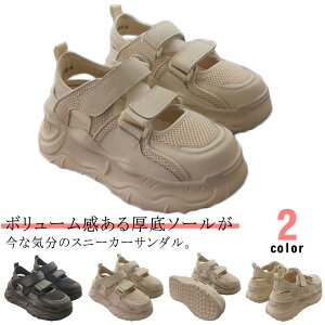 TCY V[Y Ȃ fB[X ʋC y ubN Xgbvt Xj[J[ bV C  Xj[J[T_