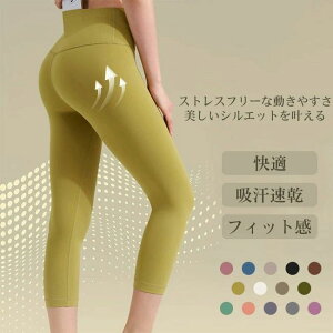 Xg tBbg W jO g[jO X|[cEGA Xpbc 7 tBbglXpc KMX fB[X