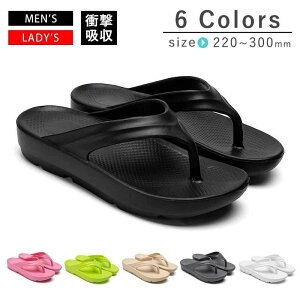 X|[cT_ r[`T_ bNXT_ X|[c Ռz  fB[X Y T_ Xbp T_