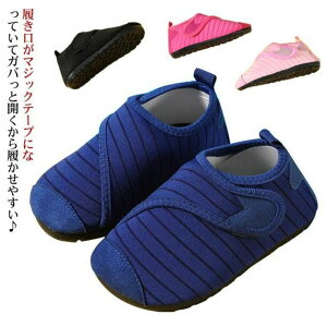 r[ V v[ C }WbNe[v EH[^[V[Y r[`T_ ܐی 16cm 15cm 14cm 13cm q xr[ LbY