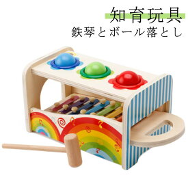 名前入り 名入れ ドイツ ハンマートイ 2歳 知育玩具 タップベンチ 音の出るおもちゃ ボール落とし アンド おもちゃ 木のおもちゃ
