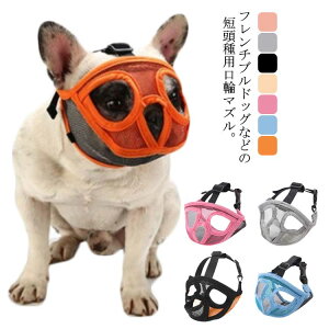  p}Y ʋCQ bVf ݃OZ EH~ h~ ʖi }Y Z@̌ Z 