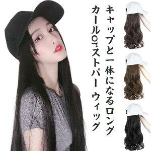 GN  EBbO ×p p fB[X ѕtXq EBbOtXq n[tEBbO J[ƃXgo[2^Cv O