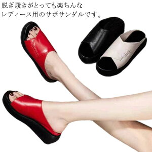 T{T  ₷ RtH[g r I[vgD ₷ fB[X ɂ  ~[ EFbW\[