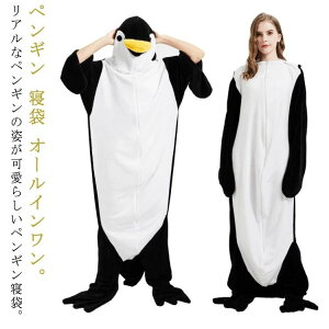 qp [EFA iCgEFA lp yM [΍ yMuPbg ѕz yM  Q 