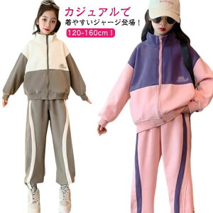 _Xߑ W[W ㉺Zbg WjA Opc Wbp[t qW[W LbY X|[cEFA ZbgAbv ̎q