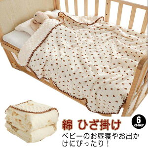 Ђ| xr[Pbg V qǂ Ԃ xr[ t[X K[[  I[V[Y  o[Vu uPbg