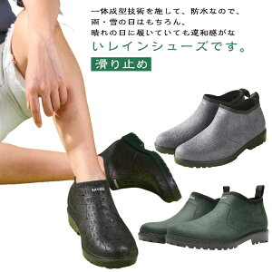 CV[Y ~J΍ Ɨp AEghA JWA V[gu[c JC Jp h h CV[Y Cu[c