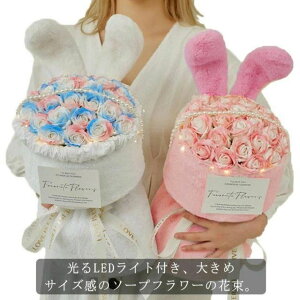 ̓M Cgt LED  ԑ \[vt[ v[g