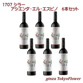 1707 シラー アシエンダ エル エスピノ 赤ワイン KIWE認定オーガニックワイン 750ml ×6本 セット 1333円/本 送料別 酒 宅飲み ステイホーム お祝い 記念日 ギフト プレゼント