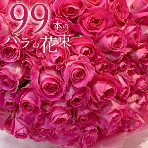 sNo 99{̉ԑ NX}X ubNtCf[ 5̂   yV sN[Y oԑ  2025 KN v[g j LO Mtg ō җ v|[Y a 