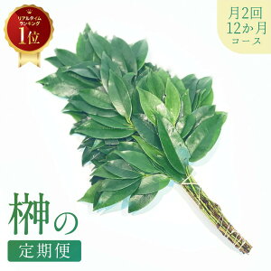 ̒ց y2 (14E) 12R[Xz ̍  A w ɐ  TJL  ̔ qTJL Ђ P HISAKAKI  _ _I p Ԍt _