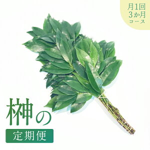 ̒ց y1i14܂͌j͂ 3R[Xz1 z A w ̍ ɐ qTJL P