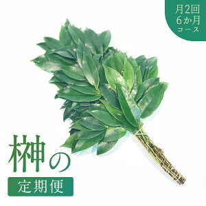 ̒ց y2i14Ej͂ 6R[Xz 1 z A TJL w ̍ ɐ qTJL P