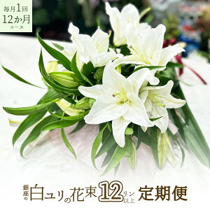 ̔ 3{ 12ֈȏ  1 12R[X Mtg  2025 蕨 v[g j ~   ԑ