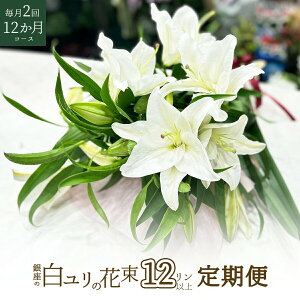 ̔ 3{ 12ֈȏ  2 12R[X Mtg  ފ 2025 蕨 v[g j ~   ԑ