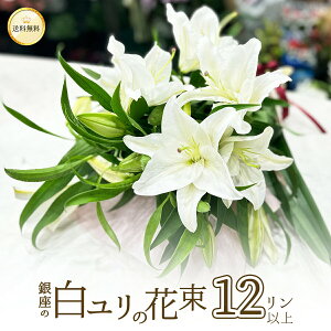  ԑ  12 3{ȏ nEB nEC  y13܂ ̔  S t[  2025 v[g Mtg a   LO  ֌n I