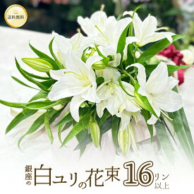 銀座の白ユリ 花束 プレゼント 花束 16輪 4本以上 バレンタイン ホワイトデー 送料無料 あす楽13時まで ゆり 百合 フラワー 花 2026 プレゼント ギフト 誕生日 お悔やみ お供え 結婚記念日 豪華 大輪系 オリエンタル 白いユリの花束 白ゆり 白百合 クール便選択可能