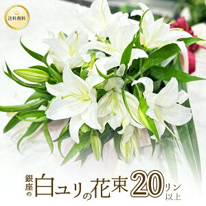 ̔ ԑ v[g 20 5{ȏ nEB nEC NX}X   S  2025 Mtg a   LO  ֌n IG^ ̉