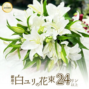 ̔ ԑ 24 6{ȏ nEB nEC NX}X  y13܂  S  2025 v[g Mtg a   LO  ֌n IG^