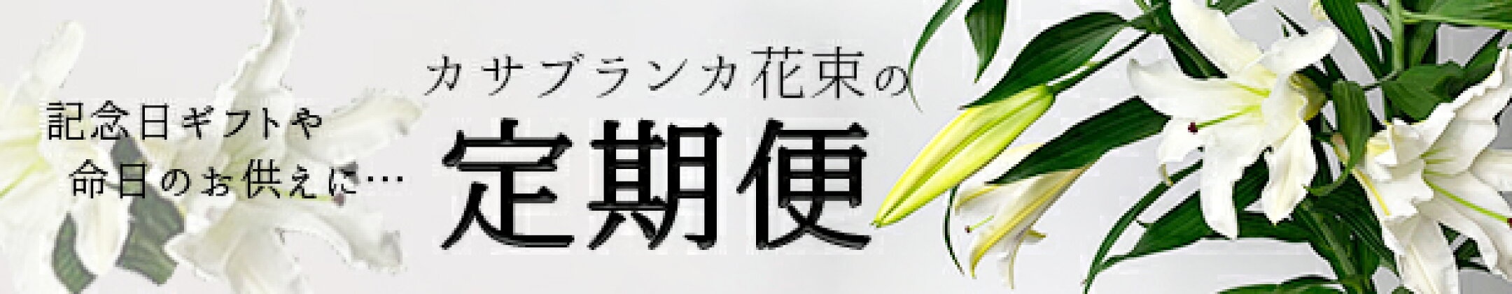 カサブランカの定期便