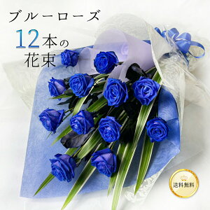 G[t[No.12 u[[Y 12{ ԑ NX}X ubNtCf[   yV  2025 o o KN CeA Mtg  v[g N[֑I