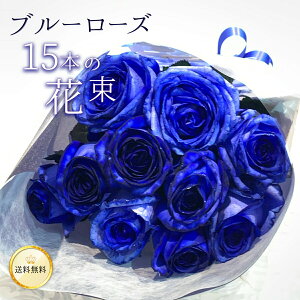 o15{̉ԑ NX}X  v[g j LO Mtg ō җ v|[Y a ސE yԁz  ԑ 2025  u[[Y _I VbN j i ߃o 