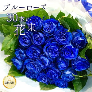 o30{̉ԑ NX}X ubNtCf[  v[g j LO Mtg ō җ v|[Y a ސE yԁz  ԑ 2025  u[[Y _I VbN 