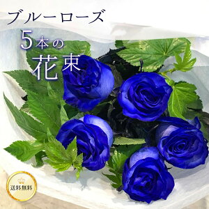 o5{̉ԑ NX}X  v[g j LO Mtg ō җ v|[Y a ސE yԁz  ԑ 2025  u[[Y _I VbN j i ߃o 