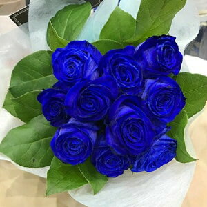 u[[Yg[` o  io/oj NX}X  N[֑I\  2025 Mtg v[g