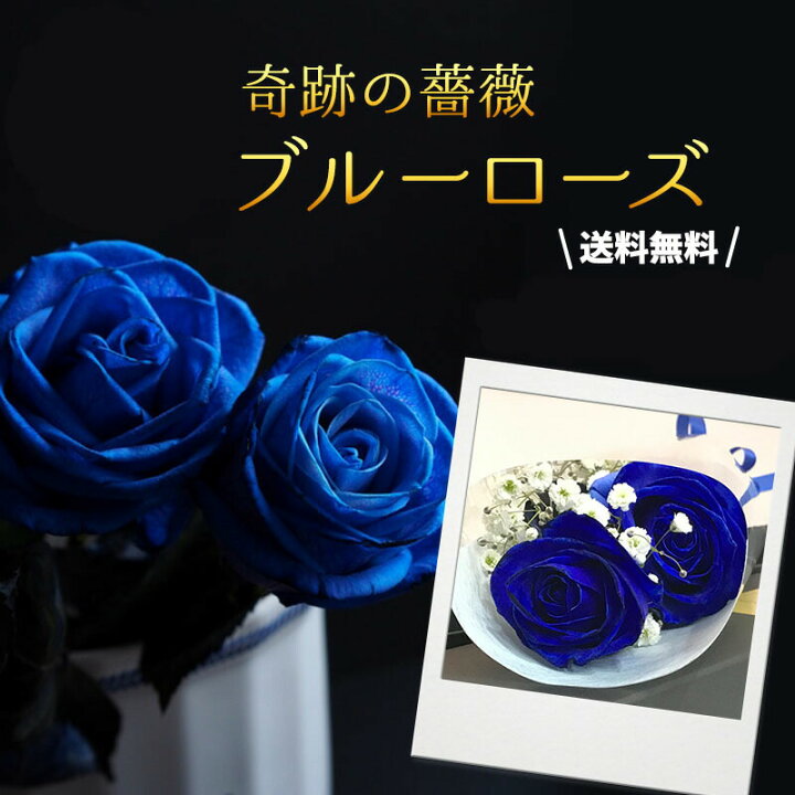 楽天市場 ホワイトデー ブラックボックス 入り ブルーローズ 花束 即日出荷 土日対応 青バラ 青薔薇 青いお花 送料無料 ギフト プレゼント プロポーズ 誕生日 記念日 プレゼント お歳暮 ご挨拶 冬季配送不可地域あり Ps21 花とお酒とギフト銀座東京フラワー