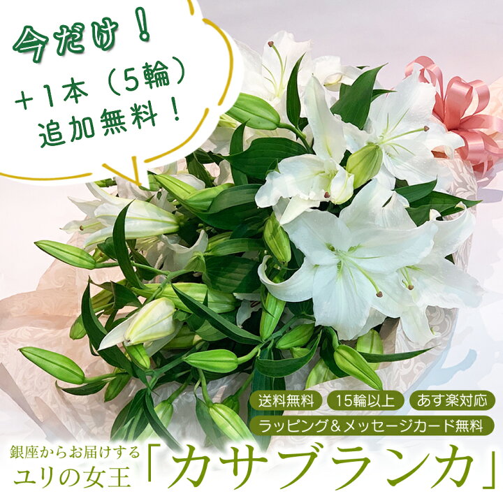 楽天市場 あす楽13時まで 総合評価4 95獲得 白ユリの女王 銀座のカサブランカ 花束 3本15輪以上 土日も出荷 生花 お届け日指定 大輪白ユリ プレゼント ほぼ蕾でお届け 送料無料 誕生日 ブーケ 記念日 ギフト 結婚祝 花とワインギフト銀座東京フラワー 楽天市場 あす楽13時まで 総合評価4 95獲得 白ユリの女王 銀座のカサブランカ 花束 3本15輪以上 土日も出荷 生花 お届け日指定 大輪白ユリ プレゼント ほぼ蕾でお届け 送料無料 誕生日 ブーケ 記念日 ギフト 結婚祝 花とワインギフト銀座東京フラワー
