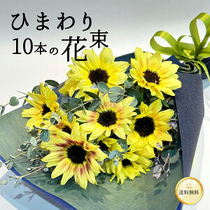 _Ă͂Ђ܂𑡂낤B^ ̂Ђ܂ 10{̉ԑ i킨܂ q} O[ bsO bZ[WJ[h y13܂ yV nEB   t[  202