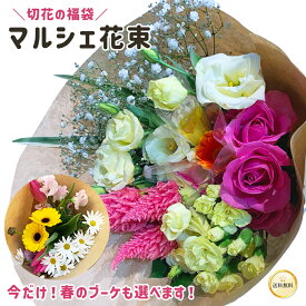 ＼今だけ！春のブーケも◎／ 季節のおまかせ マルシェ花束 東京銀座からお届け 切花 最短翌日 バレンタイン ホワイトデー 送料無料 ロスレス ナチュラル 花 1月 2月 誕生日 記念日 プレゼント ギフト 自宅用 簡易包装 エコ SDGs バラ マーガレット スイートピー チューリップ