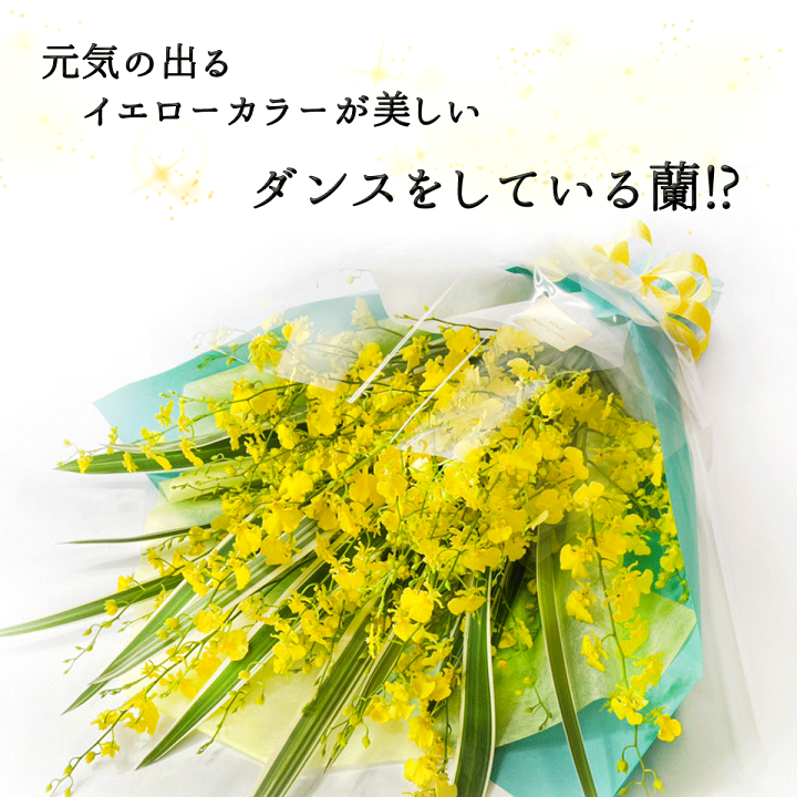 楽天市場】華やかな黄色い蘭 オンシジウム 花束 20本 楽天市場】華やかな黄色い蘭 オンシジウム 花束 20本