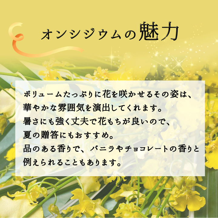 楽天市場】華やかな黄色い蘭 オンシジウム 花束 20本 楽天市場】華やかな黄色い蘭 オンシジウム 花束 20本