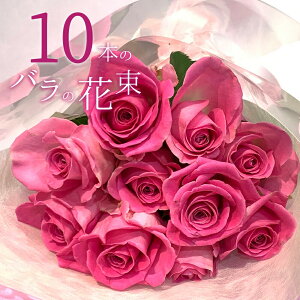 sNo 10{̉ԑ NX}X ubNtCf[ 5̂   yV v[g sN[Y oԑ  2025 KN j LO Mtg ō җ v|[Y a 