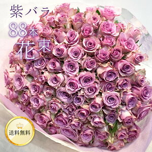 o88{̉ԑ  ̃o TLo NIeB NX}X   yV F o KN ΂  2025 ԑ j a LO v[g Mtg v|[Y 