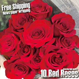 超高品質 プレミアムローズ 10本 特別な赤バラ 赤い レッドローズ 大輪 薔薇 花束 5日後から日時指定 バレンタイン ホワイトデー 送料無料 土日も出荷 プレゼント 2026 生花 お祝い ギフト 税込 還暦 プロポーズ 妻 奥さん 嫁 母 ママ 恋人 クール便選択可