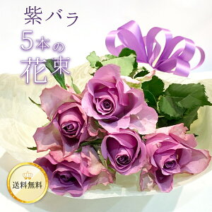 o5{̉ԑ  ̃o TLo NIeB NX}X   yV F o KN ΂  2025 ԑ j a LO v[g Mtg v|[Y 