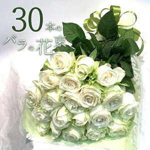 o 30{̉ԑ NIeB[ KN zCg[Y  2025 ԑ v[g j LO Mtg NX}X ubNtCf[   yV ō җ v|[Y