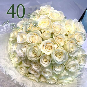 o40{̉ԑ NIeB[ KN zCg[Y  2025 ԑ v[g j LO Mtg NX}X X[p[Z[   yV ō җ v|[Y a