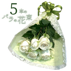 o5{̉ԑ NIeB[ KN zCg[Y  2025 ԑ v[g j LO Mtg NX}X ubNtCf[   yV ō җ v|[Y 