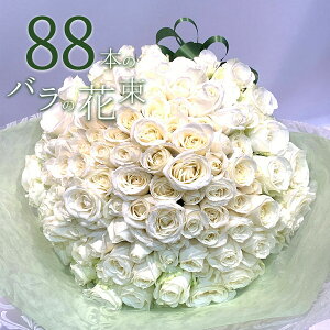 o88{̉ԑ NIeB[ KN zCg[Y  2025 ԑ v[g j LO Mtg NX}X ubNtCf[   yV ō җ v|[Y 