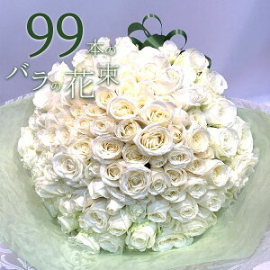 o99{̉ԑ NIeB[ KN zCg[Y  2025 ԑ v[g j LO Mtg NX}X X[p[Z[   yV ō җ v|[Y a