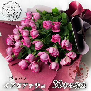  o CusAb`F ԑ 30{ sN 瑁  fP[g[Y 󒍌̍̉ ͂܂ŗv7ȏ NX}X ubNtCf[  v[g  2025  j LO 