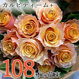 オレンジ バラ 108本の花束 カルピディーム+ 送料無料 送料込み 銀座の橙バラ 薔薇 母の日 父の日 ギフト 花束 プレゼント 記念日 誕生日 お祝い 珍しい 豪華 生花 お祝 プロポーズ 結婚祝い 結婚 退職 長寿 金婚式 カルピデューム