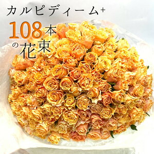 オレンジ バラ 108本の花束 カルピディーム+ ハロウィン ハロウイン 送料無料 送料込み 楽天 銀座の橙バラ 薔薇 ギフト 花 2025 花束 プレゼント 記念日 誕生日 お祝い 珍しい 豪華 生花 お祝 プ